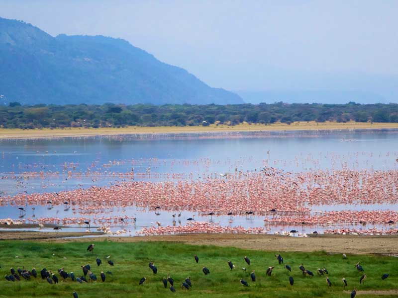 Lake Manyara, Ngorongoro Crater & Tarangire (3 Days Safari)